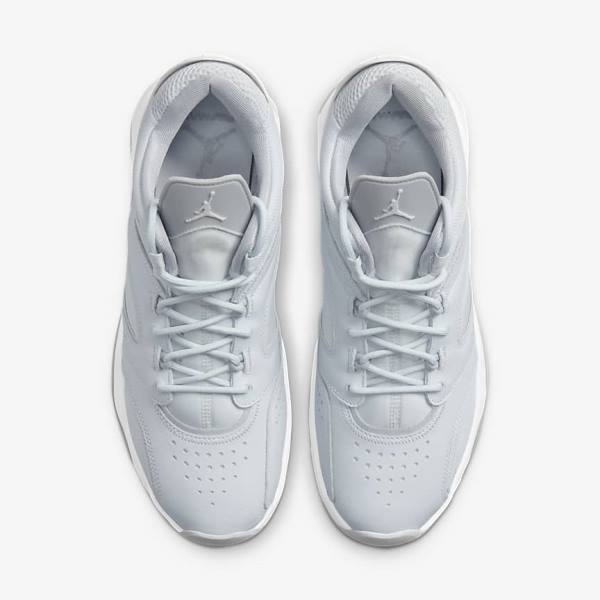 Jordan Παπουτσια Nike Jordan Point Lane ανδρικα Πλατίνα ασπρα γκρι | NK510VRX