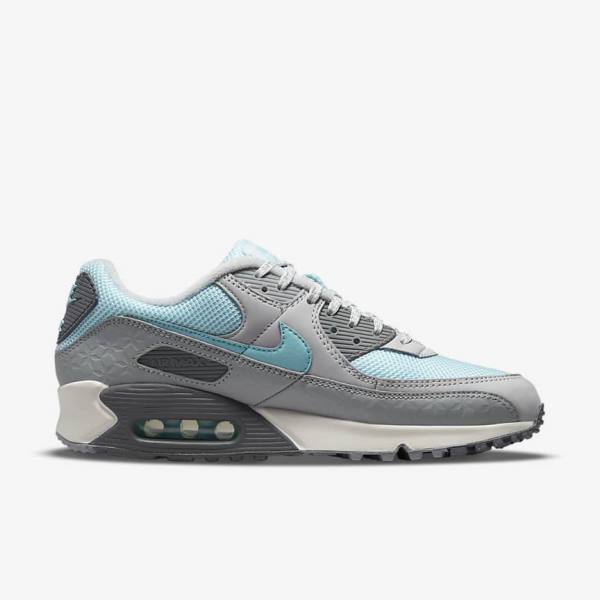 Αθλητικά Παπούτσια Nike Air Max 90 ανδρικα γκρι Πλατίνα | NK075ECD