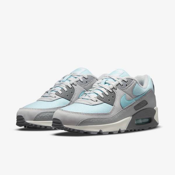 Αθλητικά Παπούτσια Nike Air Max 90 ανδρικα γκρι Πλατίνα | NK075ECD