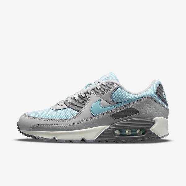 Αθλητικά Παπούτσια Nike Air Max 90 ανδρικα γκρι Πλατίνα | NK075ECD