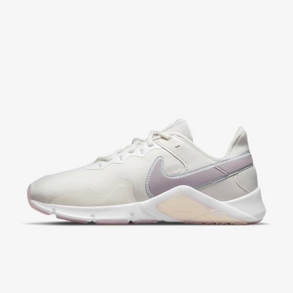 Αθλητικά Παπούτσια Nike Legend Essential 2 Premium γυναικεια μαυρα Πλατίνα ασπρα | NK980HJC