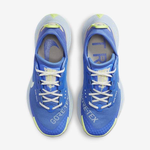 παπουτσια για τρεξιμο Nike Pegasus Trail 3 GORE-TEX αδιαβροχα Trail γυναικεια μπλε καφε γκρι | NK086XJD