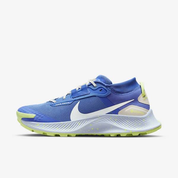 παπουτσια για τρεξιμο Nike Pegasus Trail 3 GORE-TEX αδιαβροχα Trail γυναικεια μπλε καφε γκρι | NK086XJD