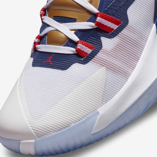 παπουτσια μπασκετ Nike Zion 1 ανδρικα μπλε ασπρα μεταλλικός χρυσο χρωμα κοκκινα | NK905SVI