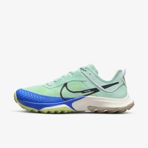 παπουτσια για τρεξιμο Nike Air Zoom Terra Kiger 8 Trail γυναικεια μεντα γκρι μπλε | NK097KGM